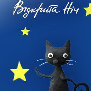 Міжнародний фестиваль українського кіно «Відкрита ніч»