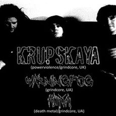 Концерт гурту Krupskaya (UK, grindcore)