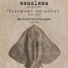 Концерт гуртів Esazlesa, Elephant Opinions, The Worst Is Yet To Come