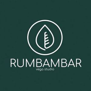 Rumbambar vega studio
